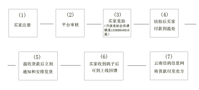 1497585972150783.png 23.png